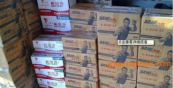 超威48v20a 電動車專用蓄電池,超威48v20a 電動車專用蓄電池生產廠家,超威48v20a 電動車專用蓄電池價格